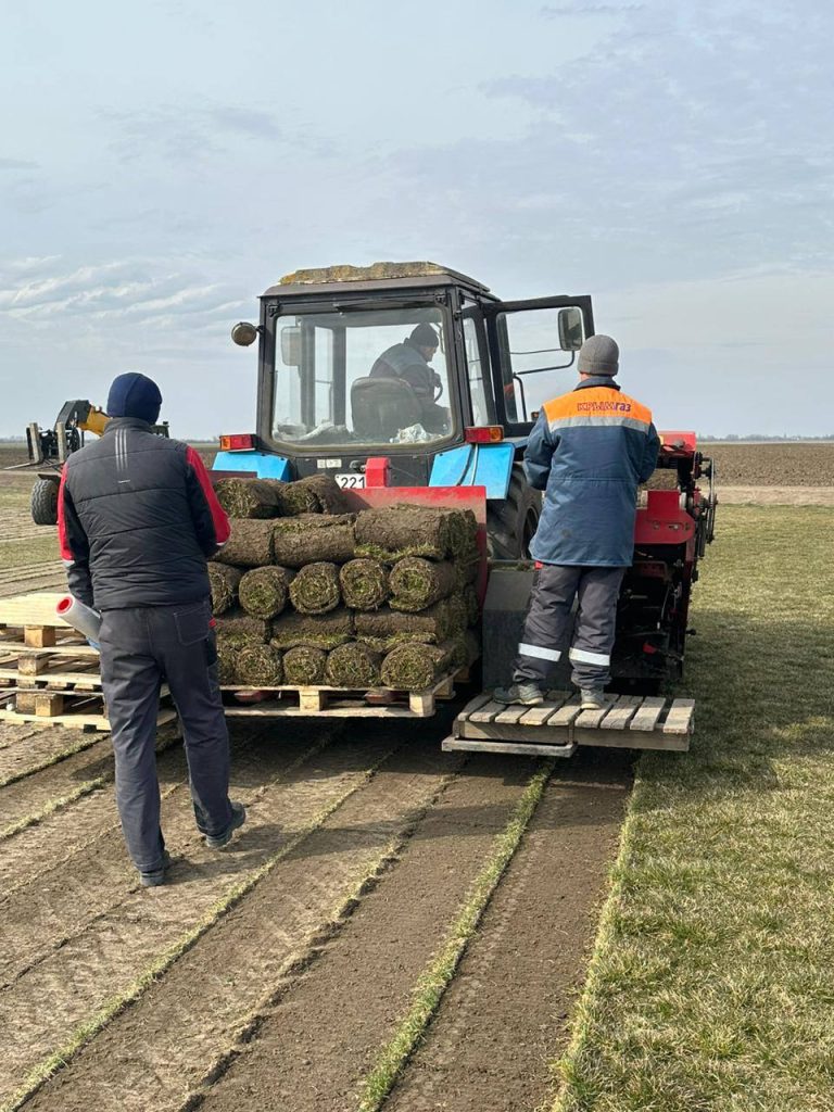 На 100 га земли Советского района выращивает крымский газон предприниматель  - клиент Фонда микрофинансирования